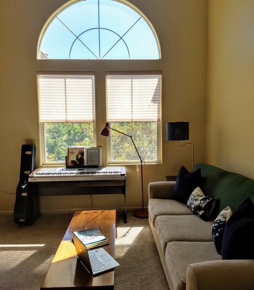 Voice singing piano guitar and ukulele lessons Sacramento CA