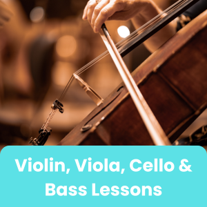 Violin viola cello and double bass lessons