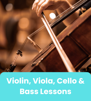 Violin viola cello and bass lessons