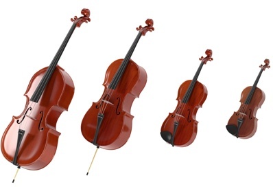 Violin viola cello and double bass lessons